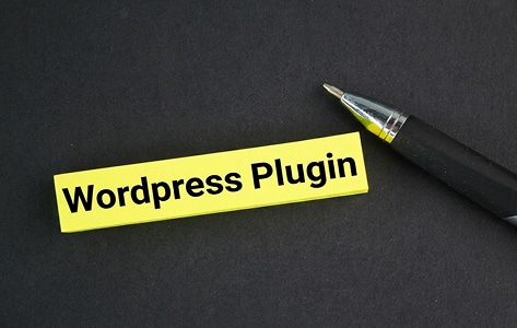 mickael-doucet-creation-site-wordpress-plugins